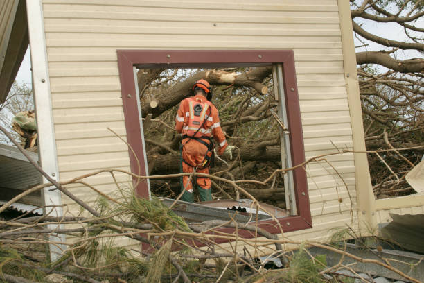 Best Root Management and Removal  in Harlan, IA